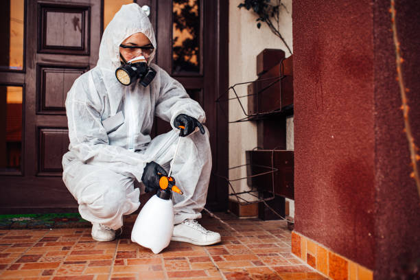 Attic and Crawl Space Rodent Treatment in Riverdale